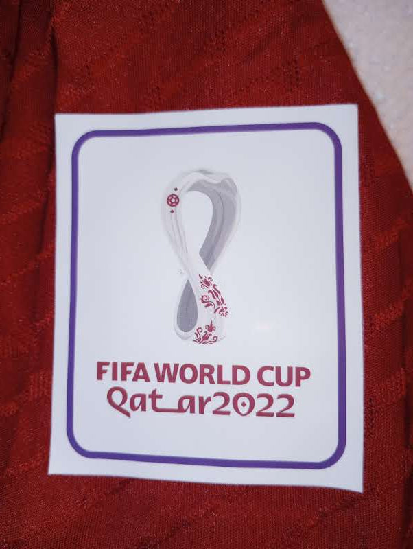 Gavi #9 Spain 2022 World Cup Qatar Match Slim Red Home Long Sleeve Soccer Jersey